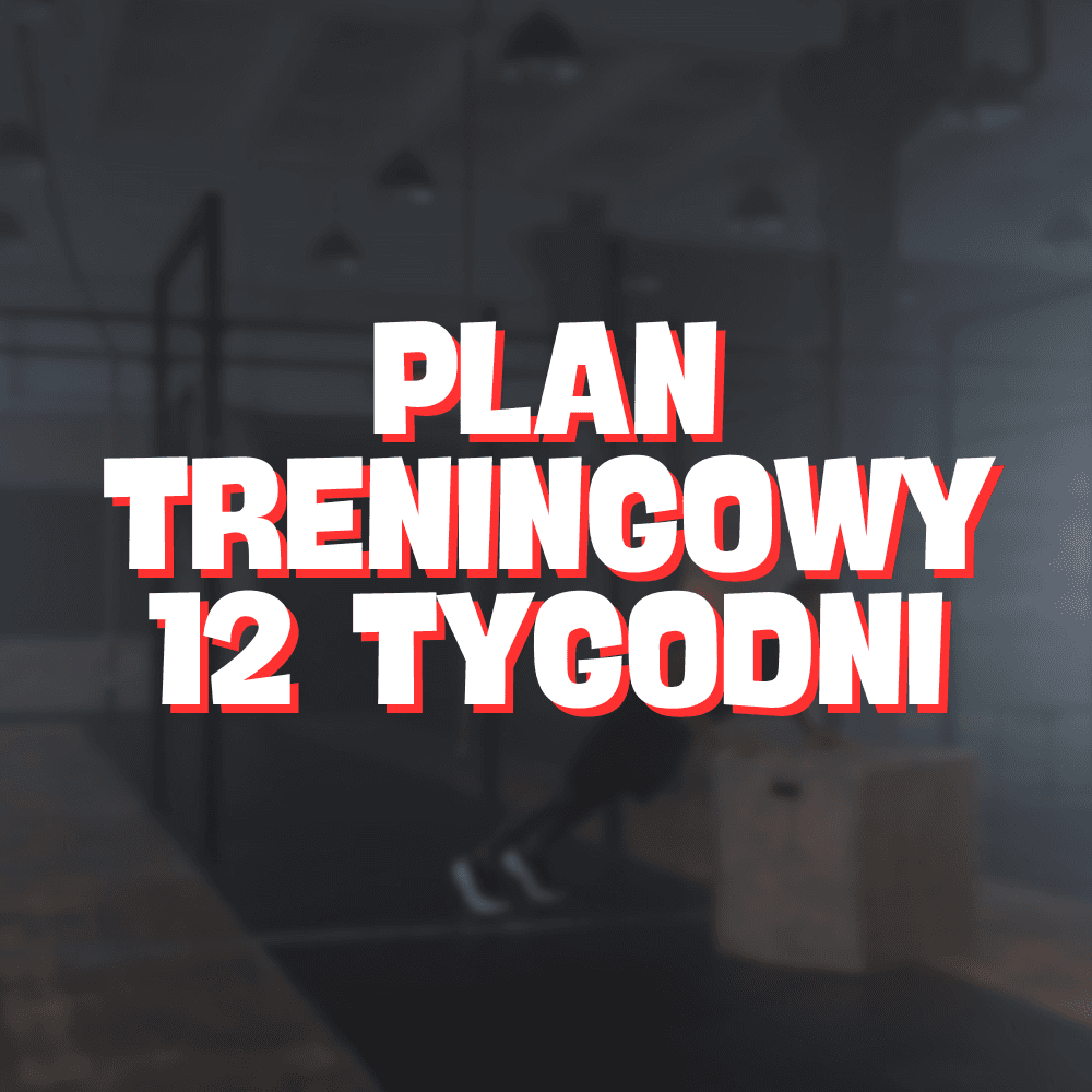 SPERSONALIZOWANY PLAN TRENINGOWY 12 TYGODNI